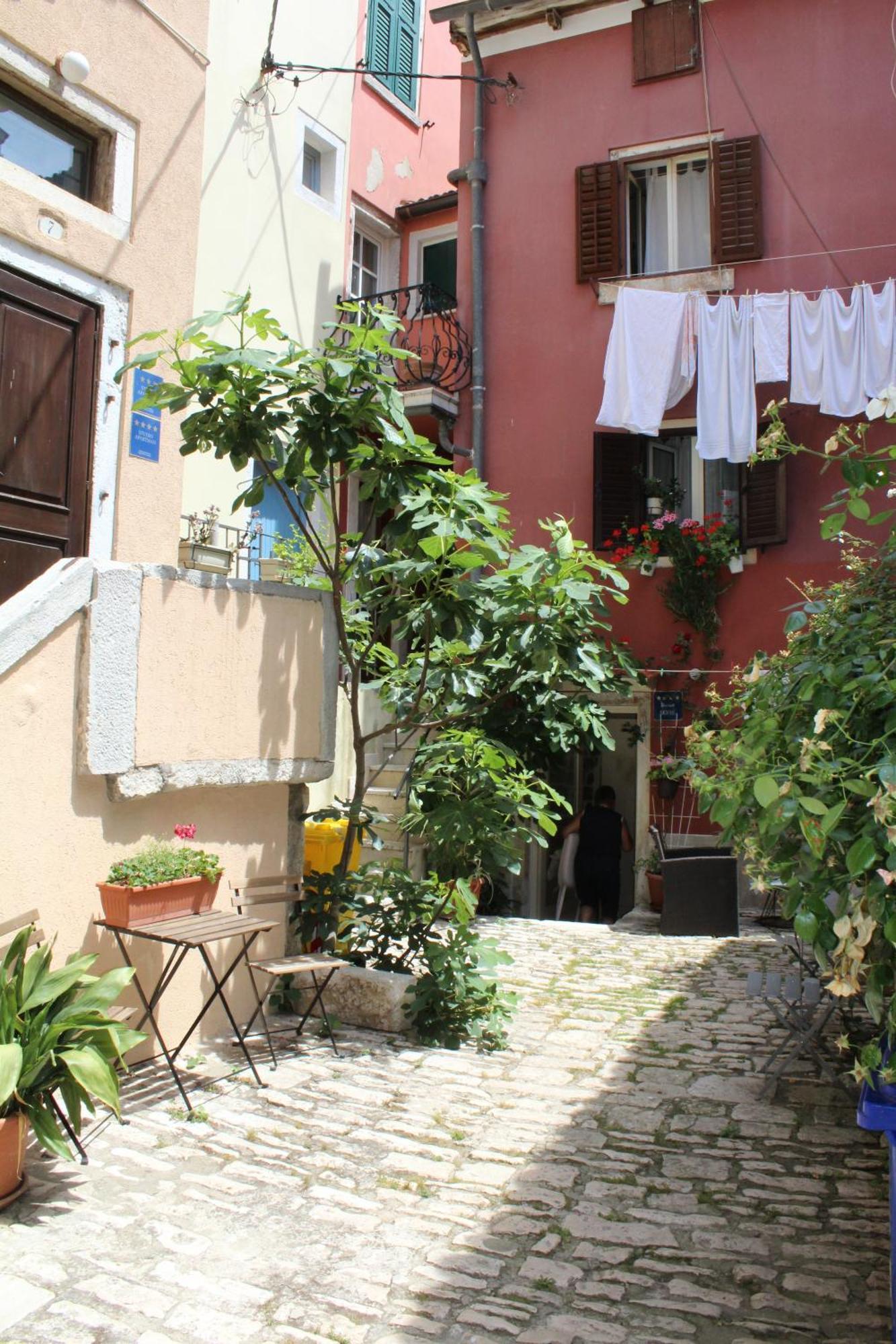 Rooms Da Angelica Old City Ρόβινι Εξωτερικό φωτογραφία